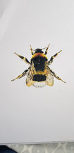 Load image into Gallery viewer, Bumble Bee
