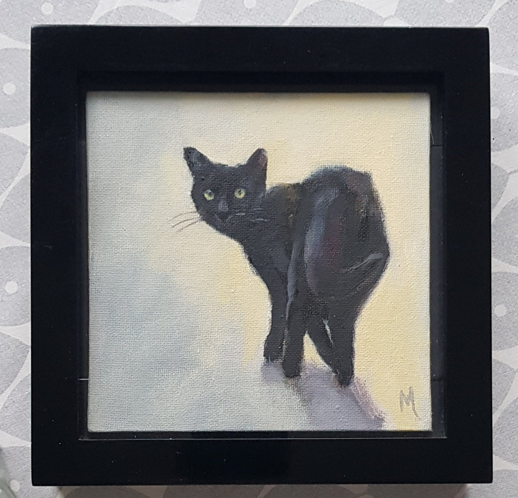 Black Cat Looking Back