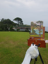 Load image into Gallery viewer, Tree - Dunmore East Park

