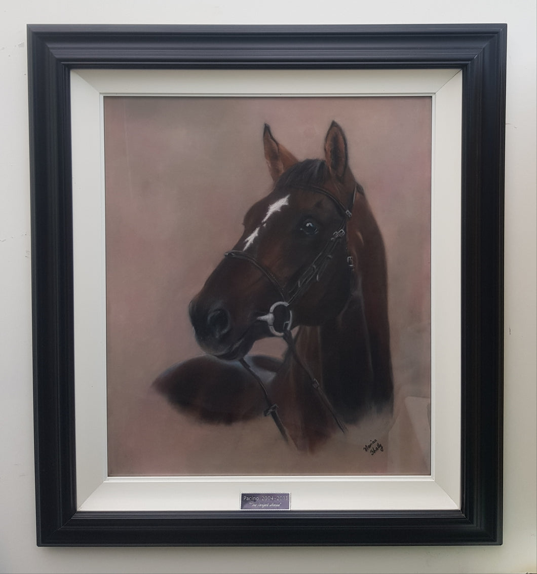 Pacino - The Perfect Horse