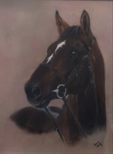 Load image into Gallery viewer, Pacino - The Perfect Horse

