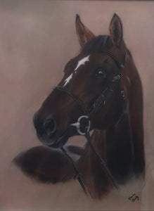 Pacino - The Perfect Horse