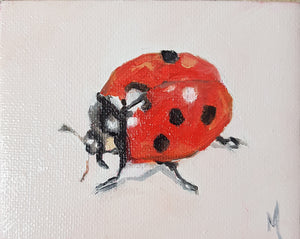 Ladybird