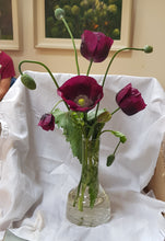 Load image into Gallery viewer, Poppy Burst
