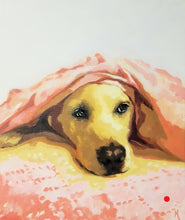 Load image into Gallery viewer, Cooper
